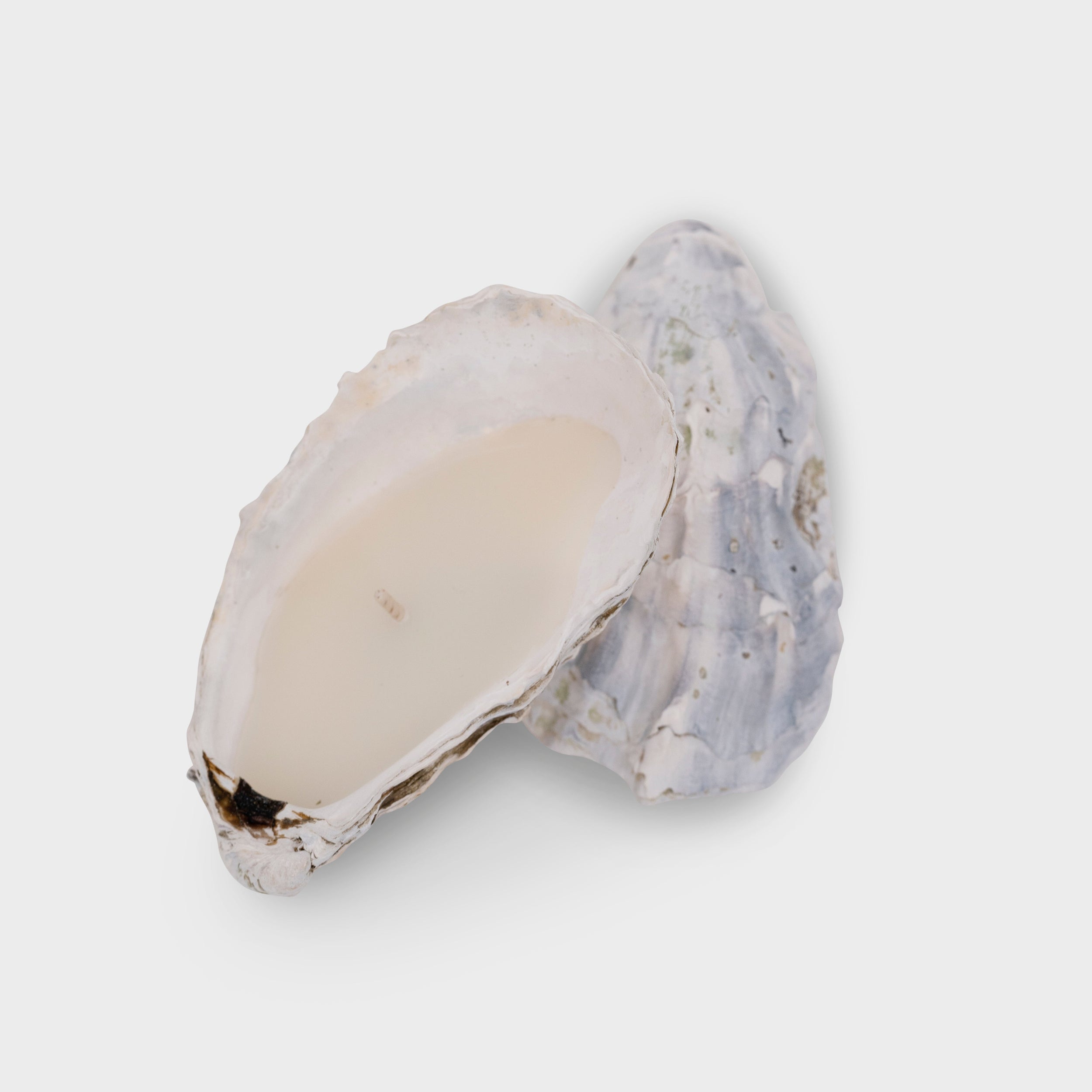OYSTER TEALIGHT